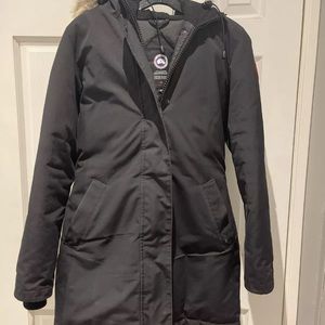 Canada goose Victoria